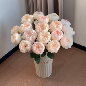 Cocotte Rose (Кокотка)